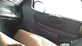 Kaareva Gloria kauni ...