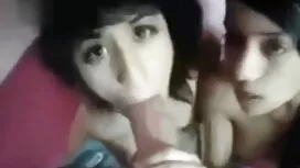 Asiantuntija amatöör ...